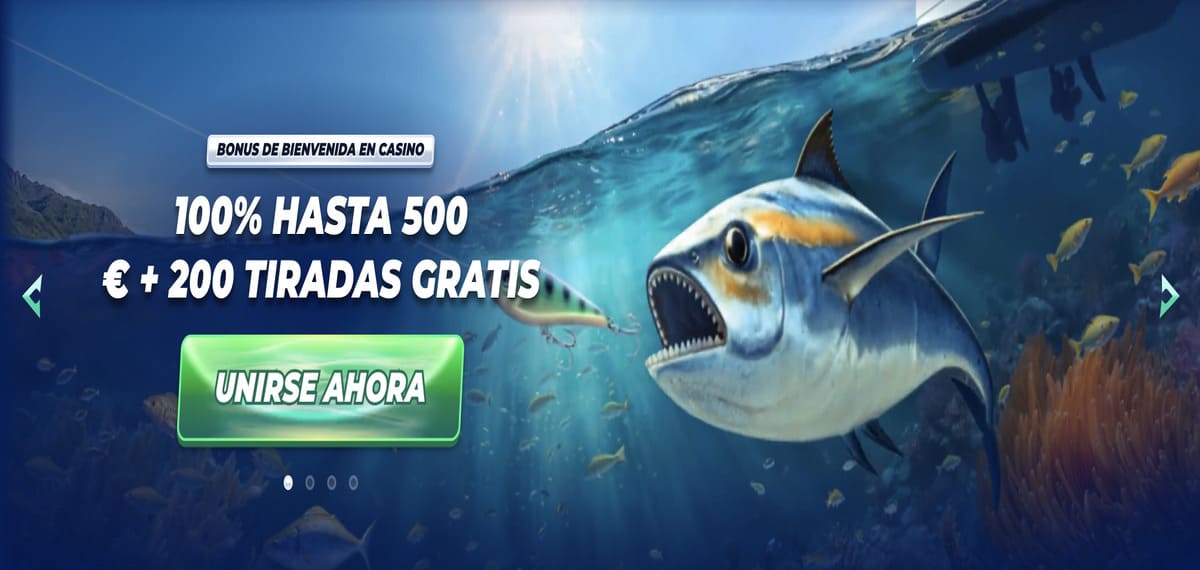 bassbet casino
